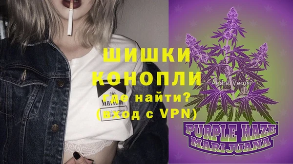 шишки Балахна