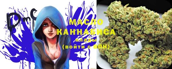твердый Магас