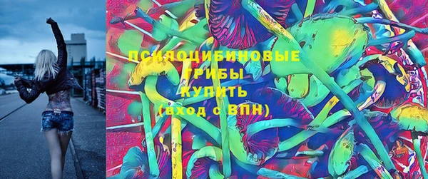 шишки Балахна