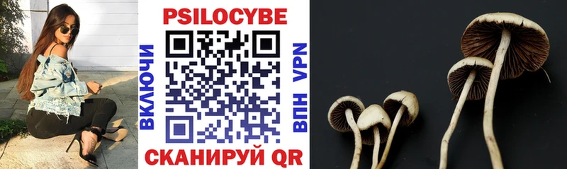 hydra ONION Губкин Галлюциногенные грибы прущие грибы продажа наркотиков