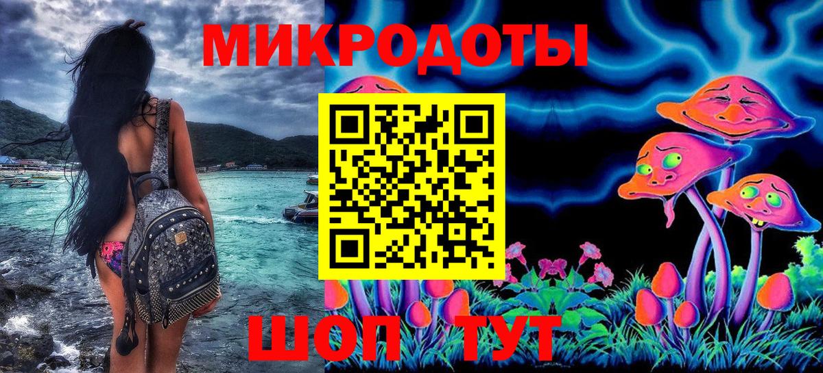 Галлюциногенные грибы Cubensis Губкин