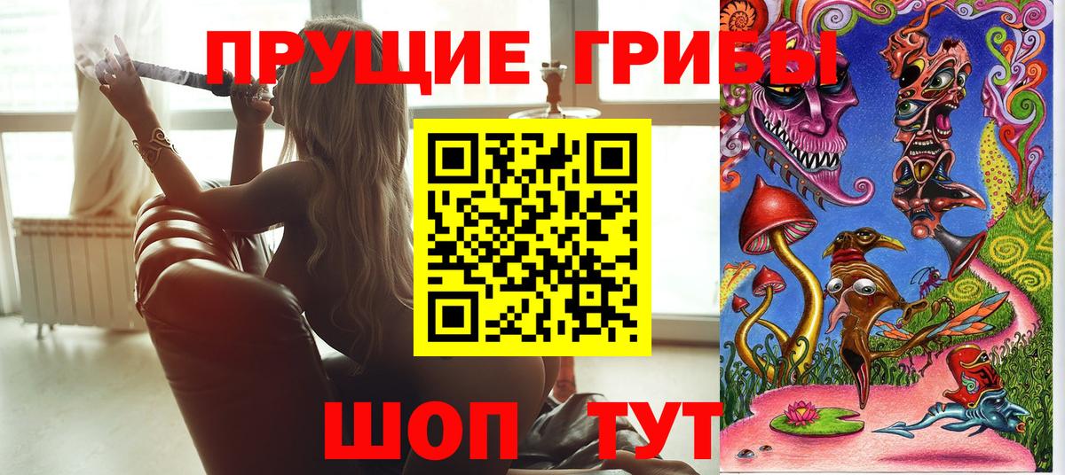 Губкин  Галлюциногенные грибы ЛСД  где можно купить   Псилоцибиновые грибы мухоморы  Вход с VPN 
