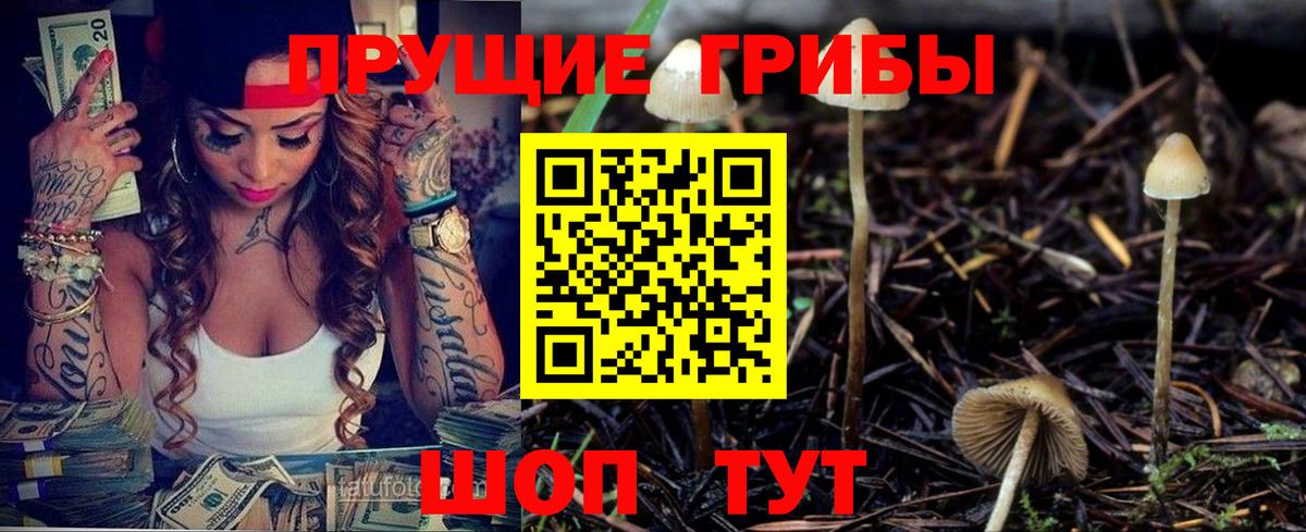 Галлюциногенные грибы Magic Shrooms Губкин