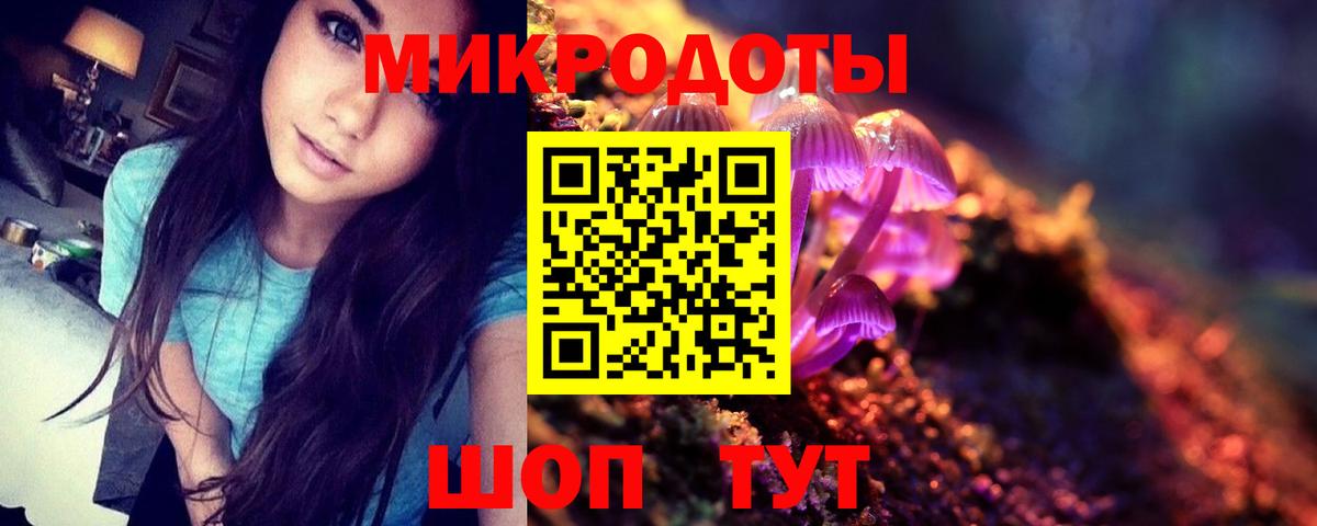 Галлюциногенные грибы Psilocybine cubensis  как найти закладки  Губкин 