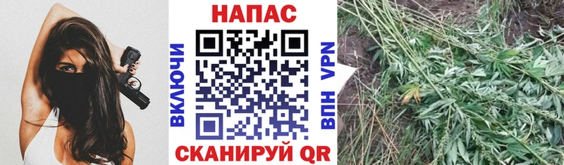 МАРИХУАНА индика Губкин